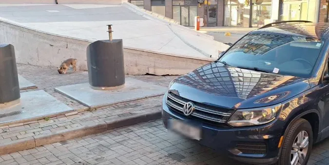 Луцькі муніципали покарали водія, який залишив авто біля смітника (фото)