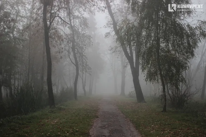 Туманний ранок у Луцьку: 30+ атмосферних фото
