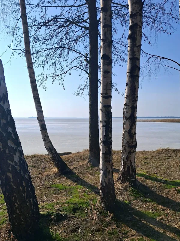 Крига, сонце і весна: Світязь огорнули перші теплі промені (фото)