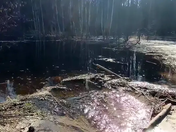 На Маневиччині річка вийшла з берегів і затопила дорогу (відео)
