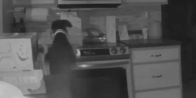Сім'я шокована: собака увімкнув газову плиту і підпалив будинок (відео)