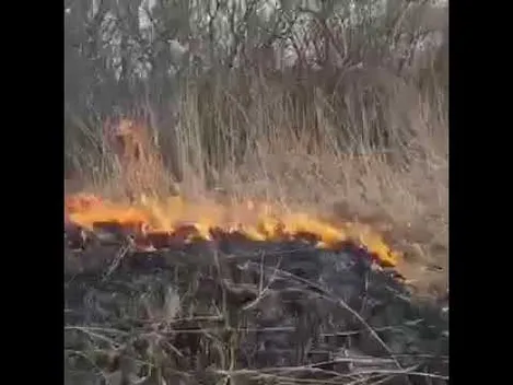 На Волині на території заказника горить трава (відео)