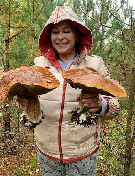 У лісі на Волині жінка знайшла гігантські гриби (фото, відео)