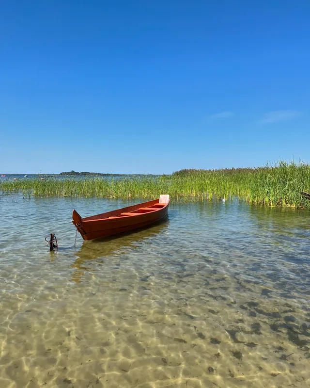 Спека, прохолодна водичка і качечки: як минають останні літні дні на Світязі (фото)