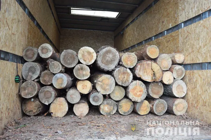 144 колоди: в Ківерцівському районі зупинили вантажівку з деревиною (фото)
