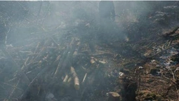 Будівельників покарали за спалювання сміття в Луцьку (фото)