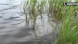На Ковельщині у ставку потонув 53-річний волинянин (відео)