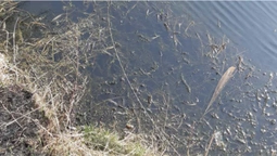 У Володимир-Волинському районі зловили рибалок із сітками (фото)
