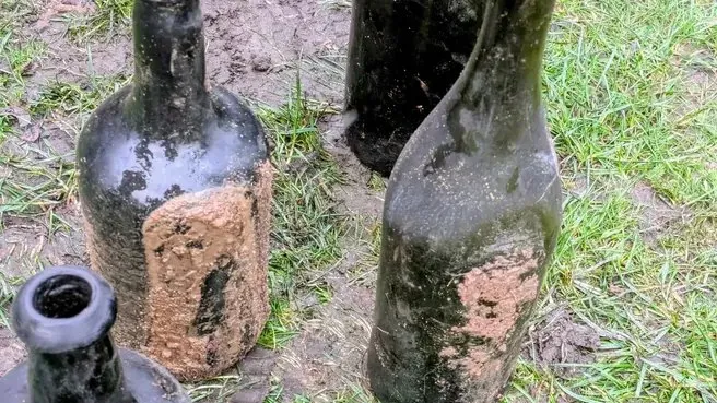 Сотні пляшок: під травою елітного гольф-клубу знайшли 200-річний винний погріб (фото)