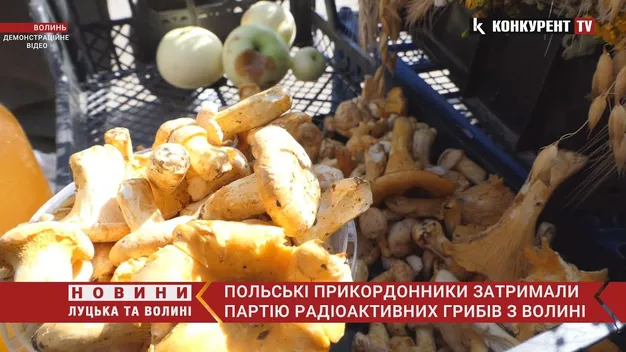 Радіоактивні гриби: на волинському кордоні затримали вантаж грибів із цезієм (відео)