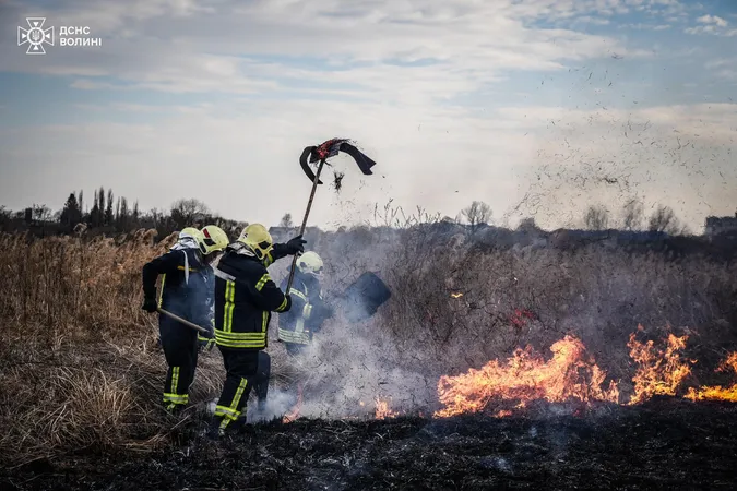 Горіло у кожному районі: на Волині – 31 пожежа (фото)