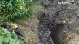 У Горохові розкопували трубопровід, а знайшли рештки людей (відео)