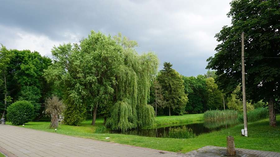 Заквітчаний луцький парк перед грозою (фото)