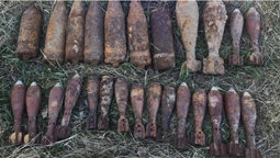 На Волині знешкодили 31 боєприпас часів Другої світової війни (фото)