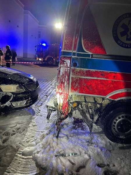 У Польщі чоловік підпалив автомобілі швидкої, призначені для допомоги Україні (фото)