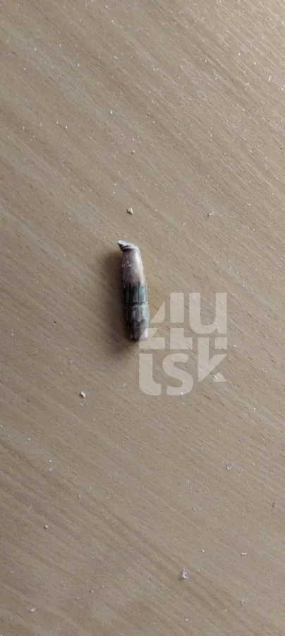 Під час атаки шахедів на Луцьк куля ППО влучила у вікно ліцею (фото)