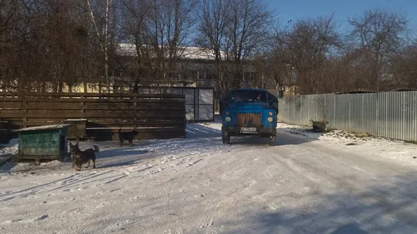 У Луцьку зрізають аварійні дерева (фото)