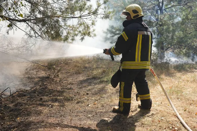 Ліс, чагарники, сміття: у Луцькому районі пожежі охопили 20 га території (фото)