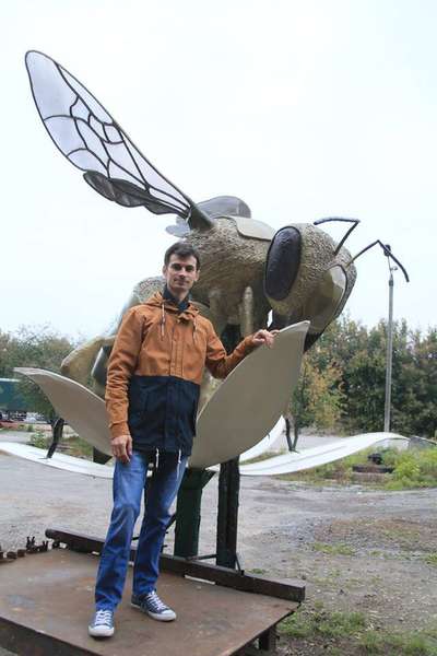 На Волині відкриють найбільший у світі пам'ятник бджолі (фото)