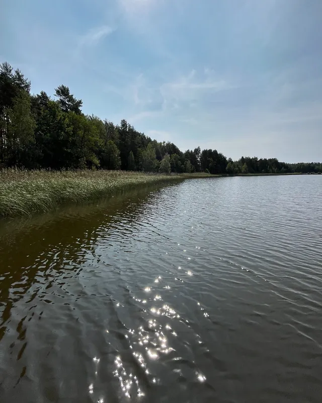 У воді – багато мінералів: на Волині є озеро, в якому повно риби (фото)