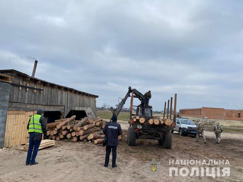 У селі на Волині поліція обшукує двори: шукають незаконну деревину (фото)
