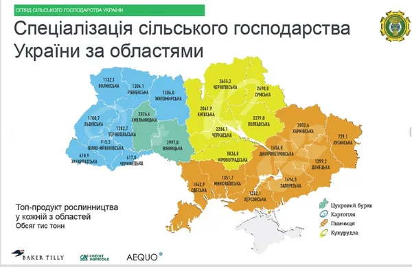 На Волині топ-продукт рослинництва – цукровий буряк