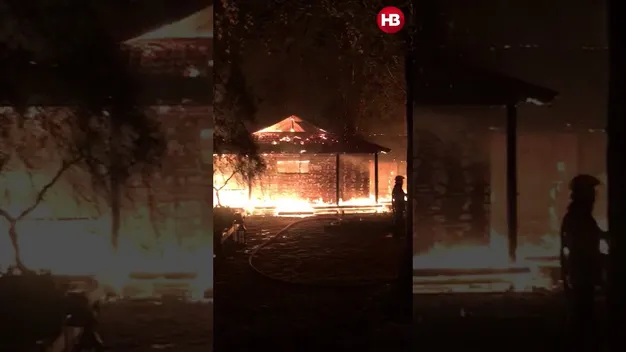 Під Києвом спалили дім ексголови Нацбанку Гонтаревої (відео)