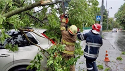 Повалені дерева та пошкоджені покрівлі: на Київщині негода забрала життя людини (фото, відео)