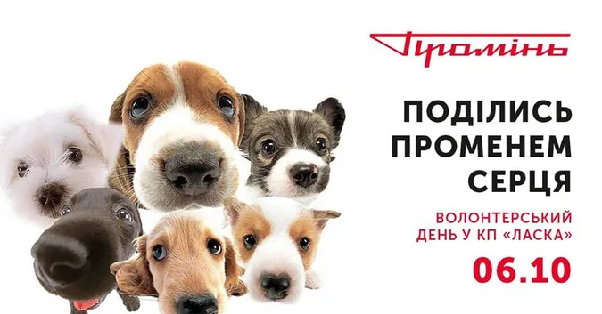 «Промінь» кличе на Волонтерський день у «Ласку»*