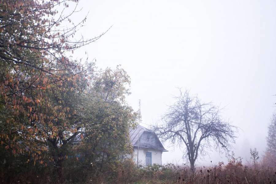 Містично-туманна Волинь: показали таємничі закутки регіону (фото)