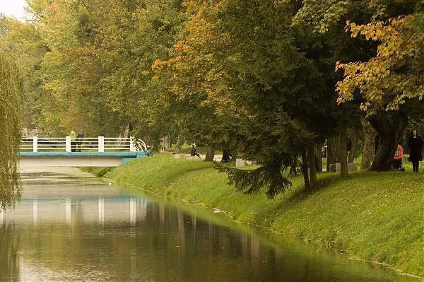 У міській раді виділили 1,5 млн грн на 80 відеокамер у центральний парк Луцька