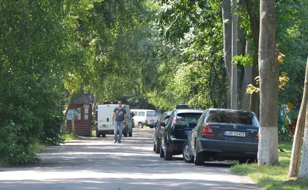 Болард у центральному парку Луцька знову на ремонті (фото)