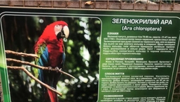 З Луцького зоопарку вкрали папуг (фото)