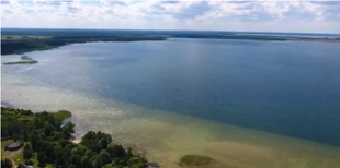 На Волині є озеро, в якому можуть мешкати водяні чудовиська (відео)