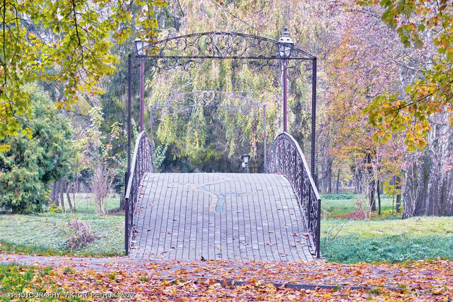 Жовтогаряча осінь у луцькому парку (фото)