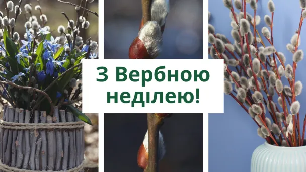 З Вербною неділею: листівки та вітання