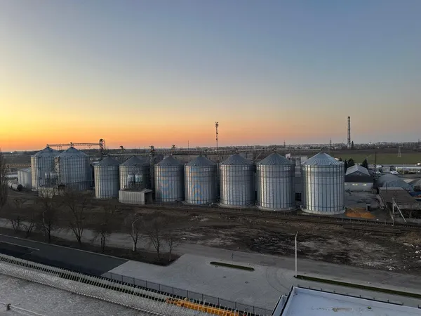 Волинське борошно їде в Європу: на підприємстві «Вілія» переробляють до 150 тонн зерна на добу