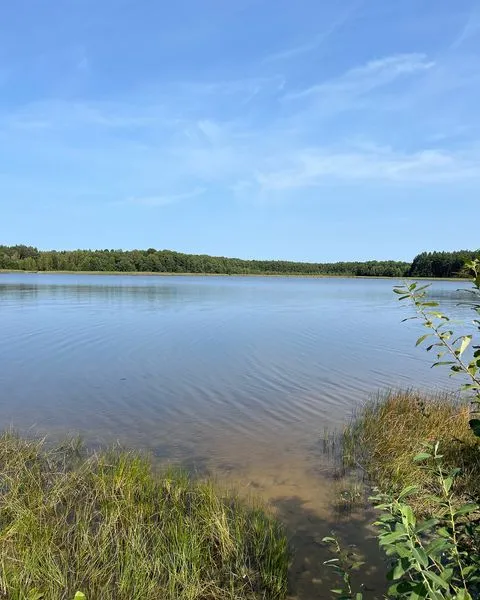 У воді – багато мінералів: на Волині є озеро, в якому повно риби (фото)