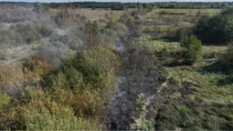 На Камінь-Каширщині горить торф'яник: працюють рятувальники (фото)