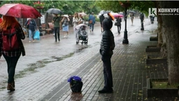 Мокрі етюди: як у серці Луцька люди тікали від літнього дощу (фото)