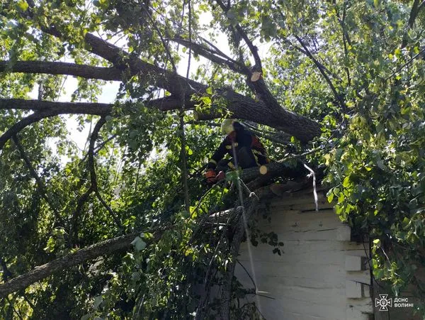 Вирувала негода: на Волині дерево проломило дах будинку (фото)