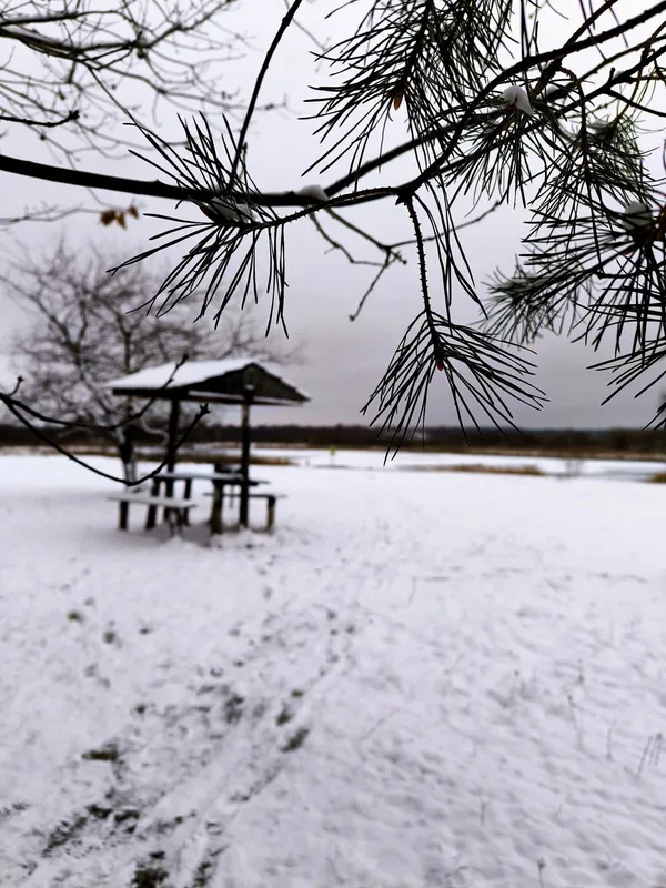 Яким стало популярне серед відпочивальників озеро біля Луцька (фото)