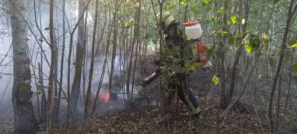 На Волині через необережність в пожежі загинув чоловік (фото)