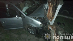 У Боратині п’яний водій на «фольксвагені» на швидкості влетів у дерево (фото)