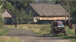 На Волині блискавка влучила в підводу: чоловік – в реанімації