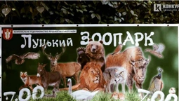 Луцький зоопарк став компанією року (фото)
