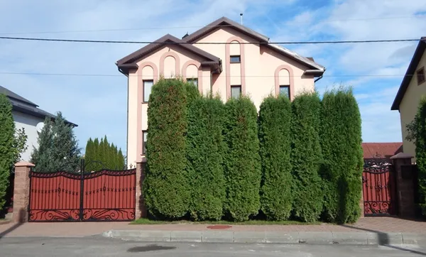 Родинні статки: луцький міський голова показав е-декларацію