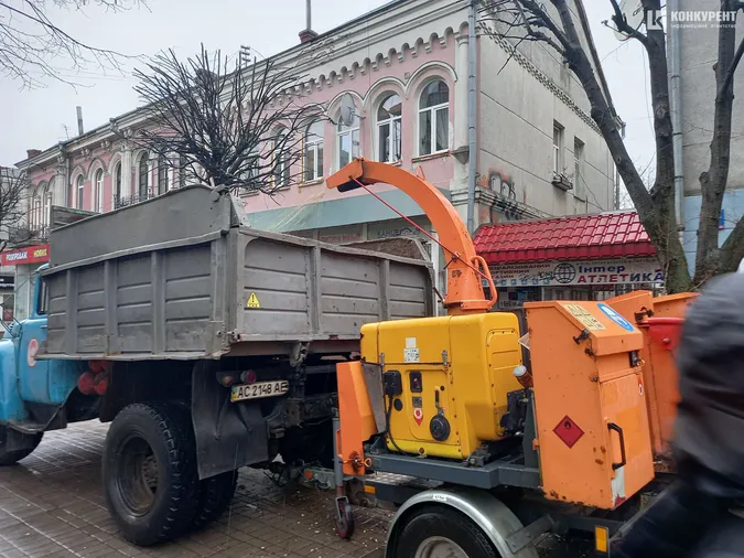 У центрі Луцька кронують дерева (фото)