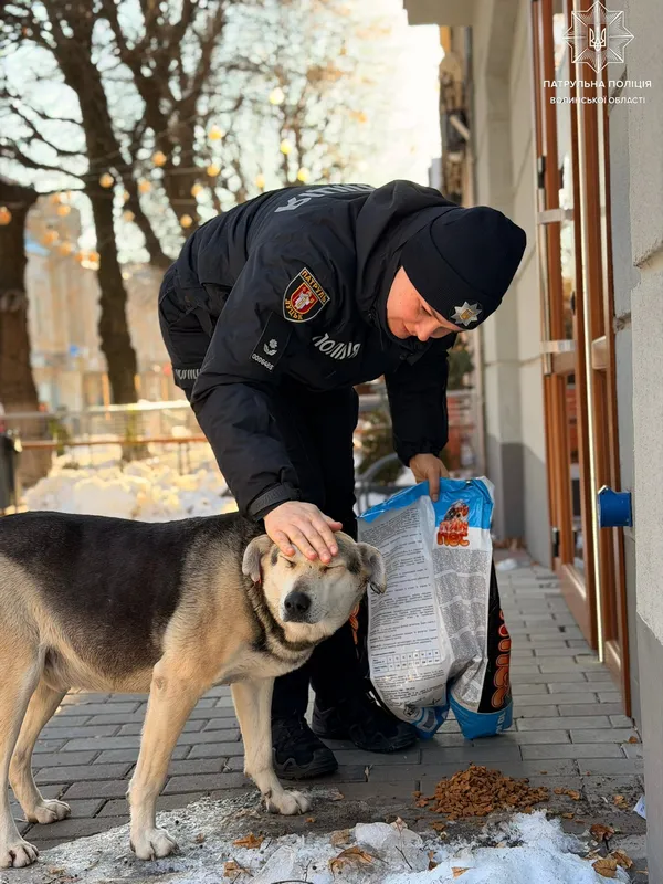Смаколики замість штрафів: вулицями Луцька пройшов зворушливий рейд