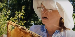 До 100 укусів на тиждень: як живе жінка, залежна від отрути бджіл (фото)